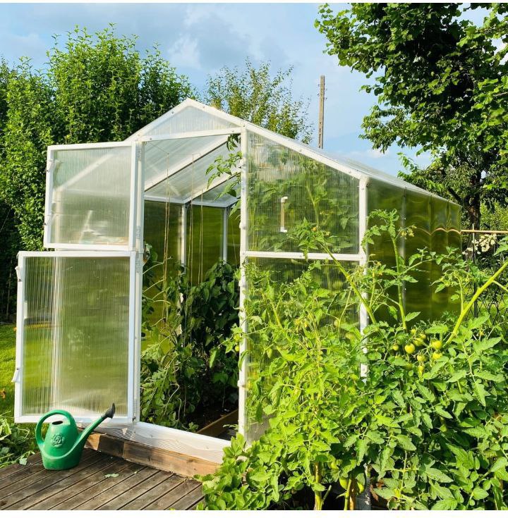 auto draft auto draft